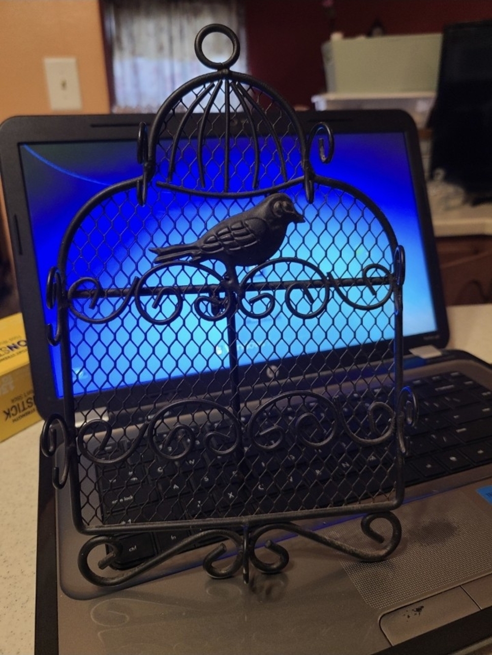IKEA Black Decorative Bird Cage Earring Holder